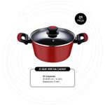 ESPECIFICACOES - EVERYDAY VERMELHA_CACAROLA 20 cm